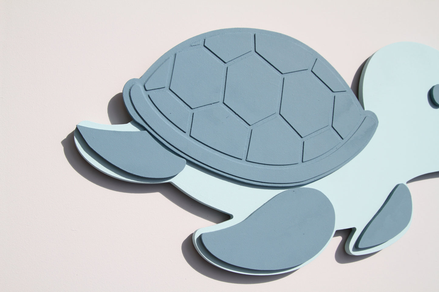 Droommaatje Schildpad