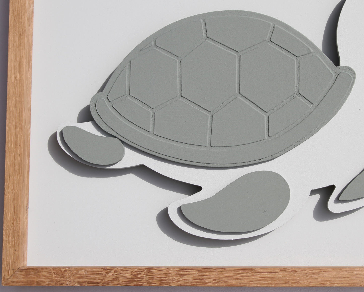 Schildpad Droommaatje – 3D Schilderij